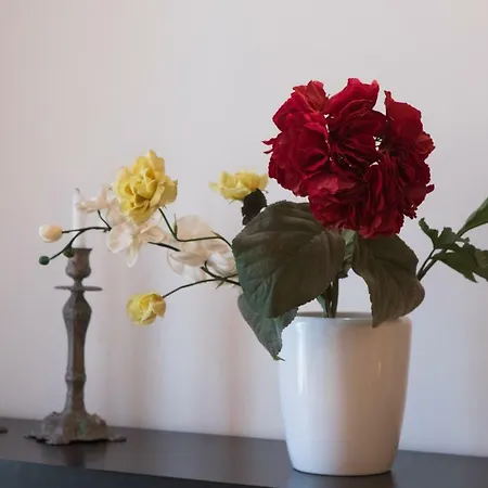 Asmundo Apartment